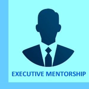 MGT Executive Mentorship Program